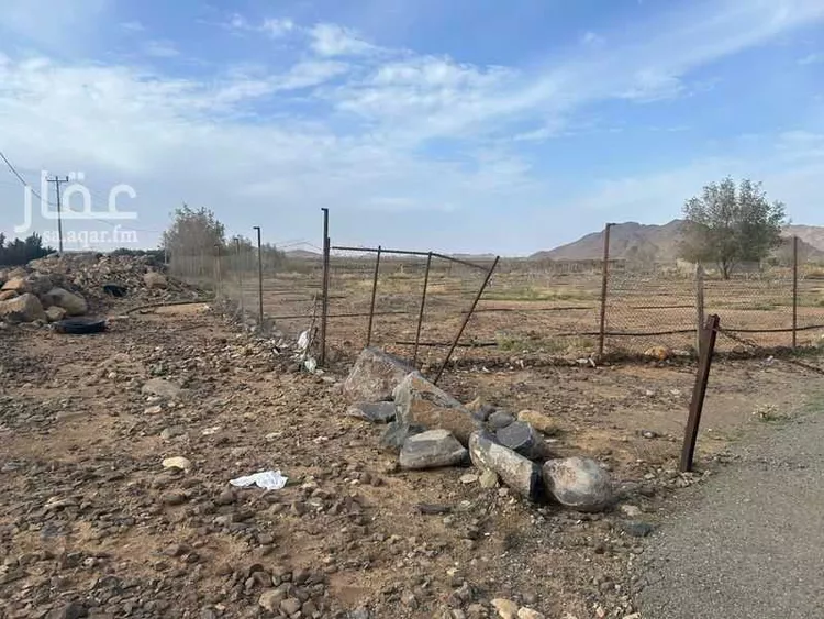 مزرعة للبيع في حي البقعيه, مدينة البقعيه, منطقة المدينة المنورة صورة 4