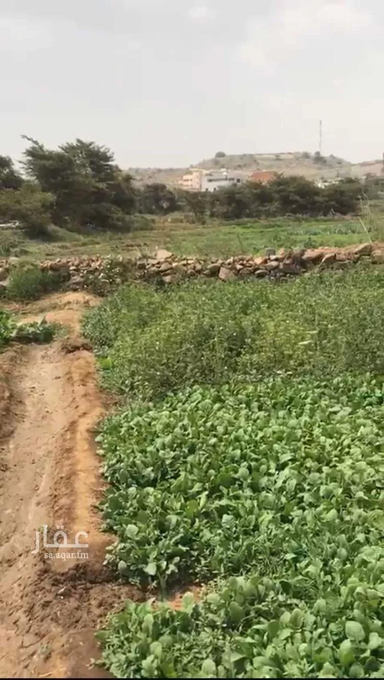 أرض للبيع في شارع ممر العمق, حي الربوة, مدينة أبها, منطقة عسير
