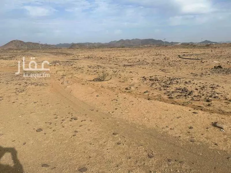 Farm for Sale in Al Kamil Al Kamil 8