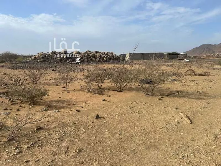 Farm for Sale in Al Kamil Al Kamil 10