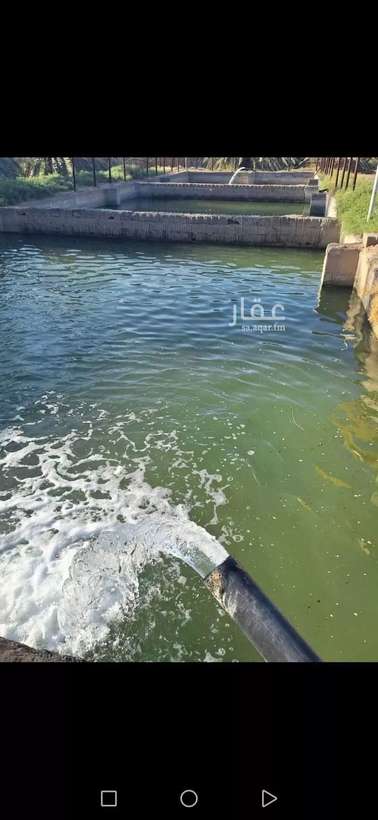 مزرعة للبيع في شارع المليليح 94, حي المليليح, مدينة المدينه المنوره, منطقة المدينة المنورة صورة 3