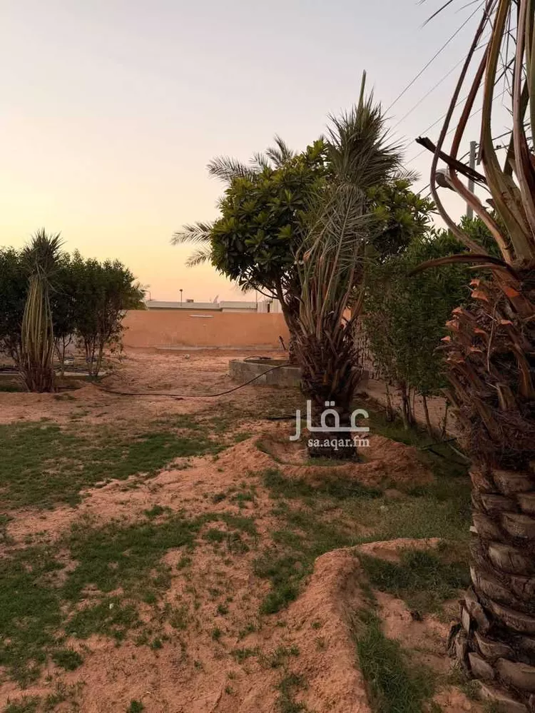 استراحة للإيجار في شارع الأمير فيصل بن بندر ، بريدة ، بريدة