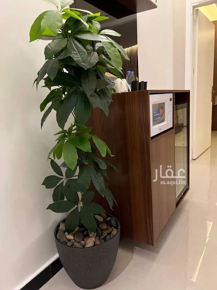 شقة مفروشة للحجز في شارع الامير عبدالله بن سعود بن عبدالله صنيتان ال سعود, حي الياسمين, الرياض صورة 4