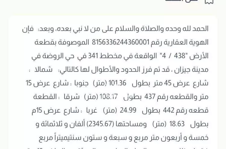 أرض للبيع في الروابي, جازان صورة 2