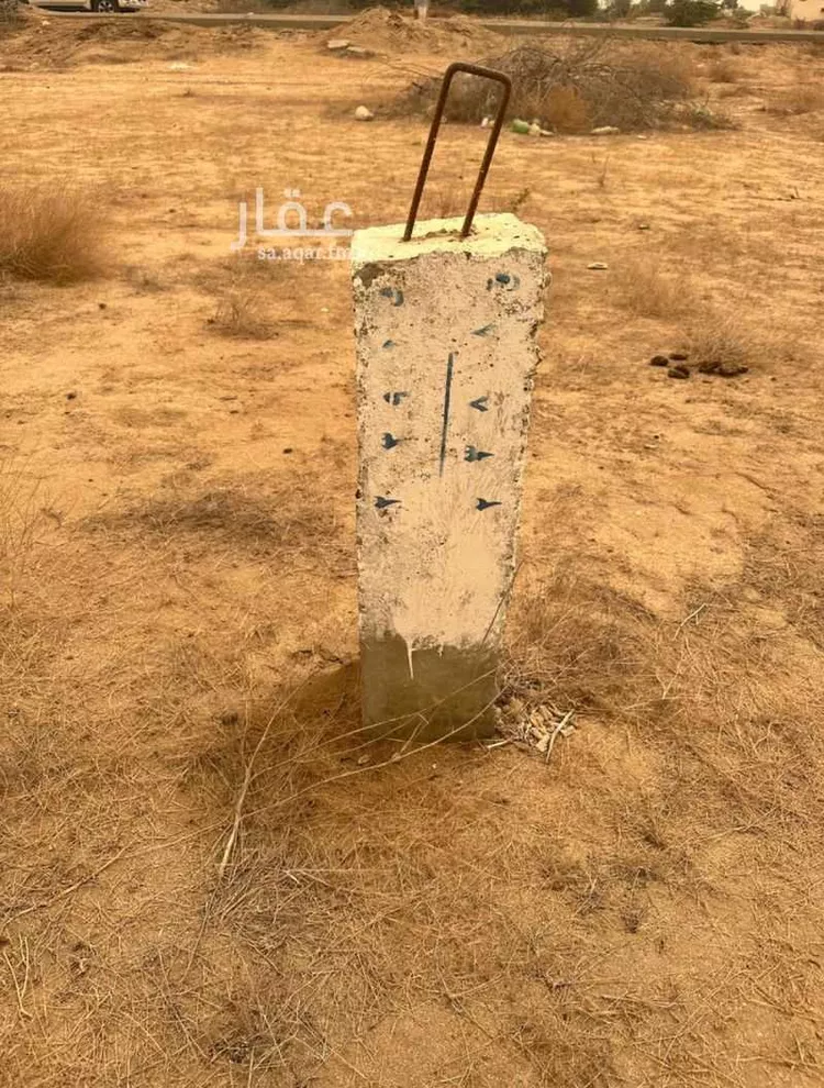 أرض للبيع في شارع الملك فهد بن عبدالعزيز ، الوسقة ، الليث صورة 2