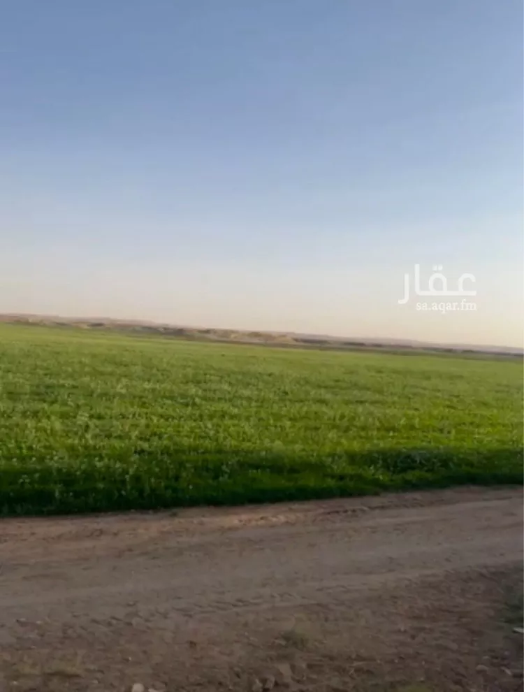 أرض للبيع في شارع لايوجد, حي المربع, مدينة المربع, منطقة القصيم