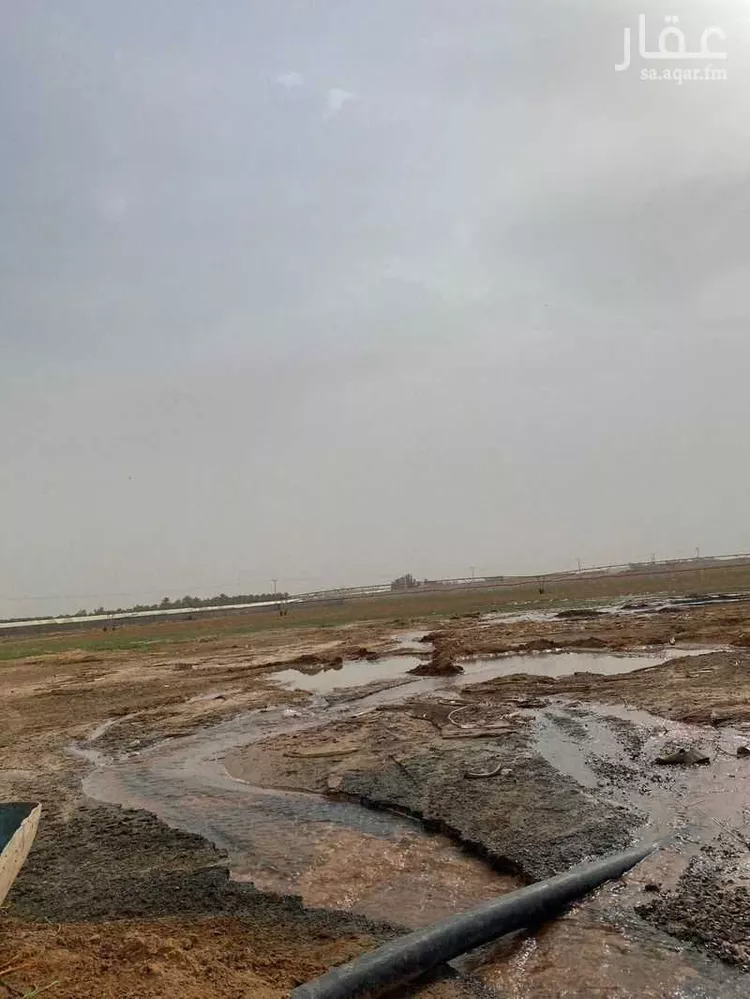 أرض للإيجار في عيون الجواء ، عيون الجواء