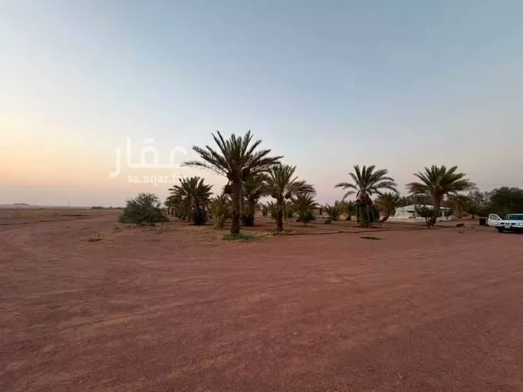مزرعة للبيع في شارع الاشتاء, حي المزعبر, مدينة حائل, منطقة حائل صورة 4