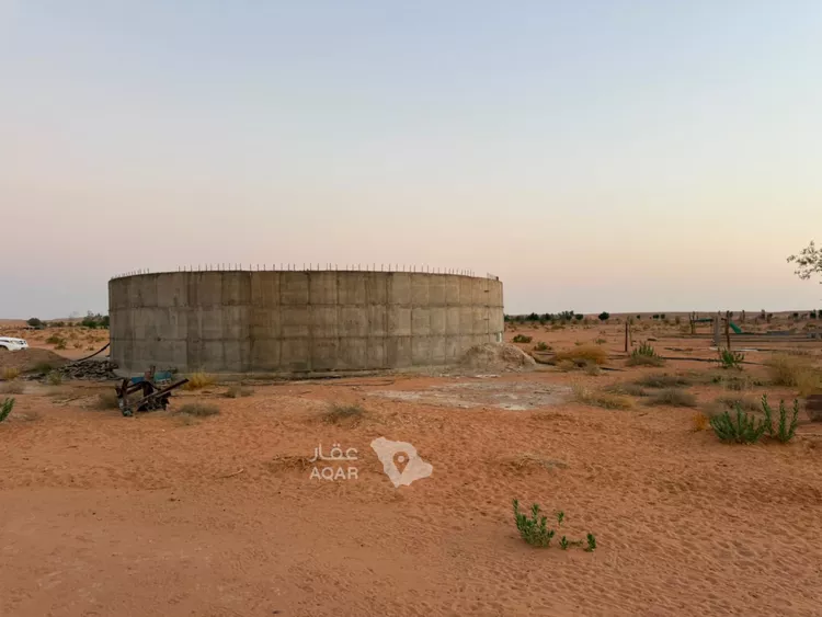 مزرعة للإيجار في شارع ترابي, حي الودينيه ومزارعها, مدينة الودينيه ومزارعها, منطقة الرياض صورة 3