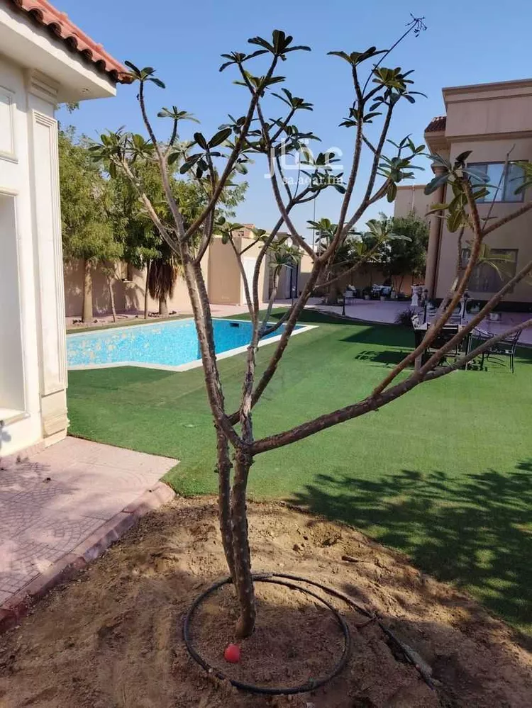 فيلا للبيع في حي هجر, مدينة الدمام, المنطقة الشرقية صورة 3