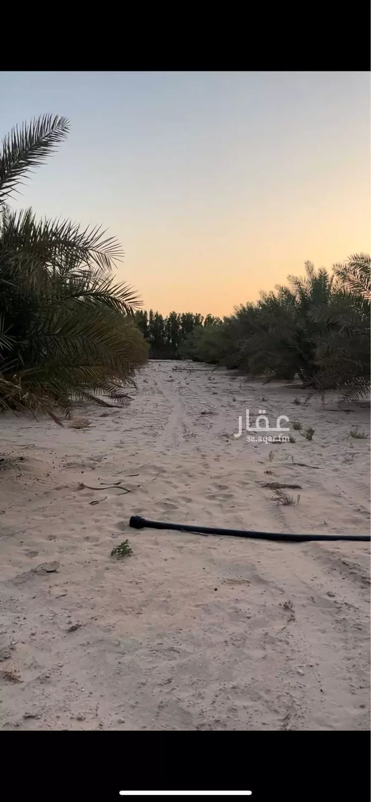 مزرعة للبيع في حي شارع, مدينة بقيق, المنطقة الشرقية 10