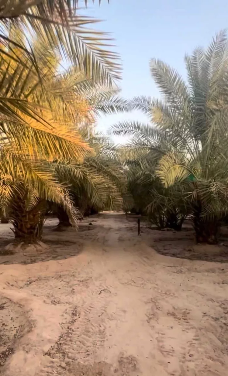مزرعة للبيع في حي شارع, مدينة بقيق, المنطقة الشرقية 8