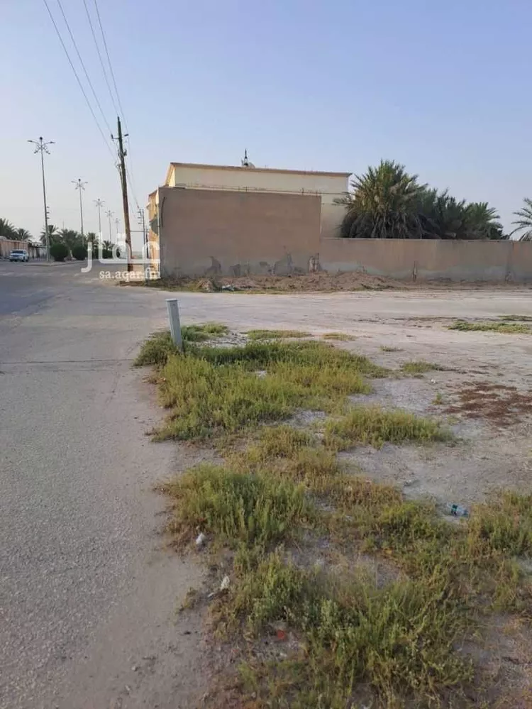 أرض للبيع في شارع انطاع 273 ، نطاع ، النعيرية صورة 2