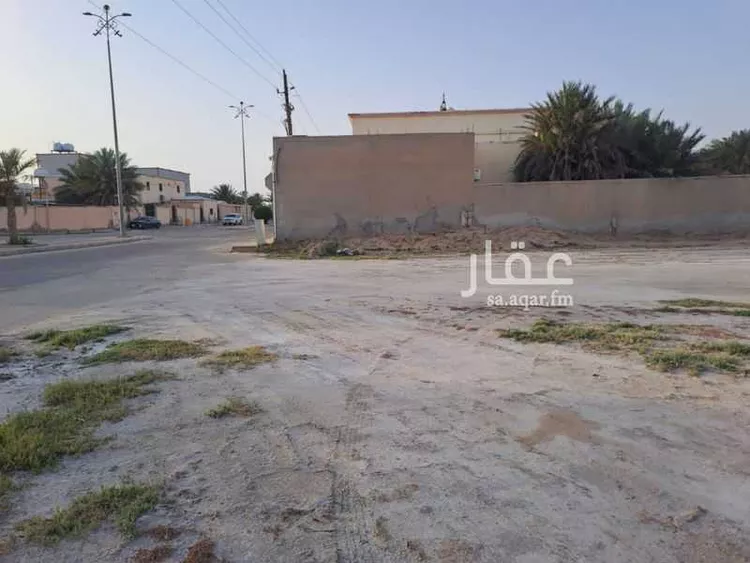 أرض للبيع في شارع انطاع 273 ، نطاع ، النعيرية صورة 3