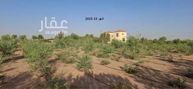 مزرعة للبيع في مدينة الجله, منطقة الرياض صورة 2