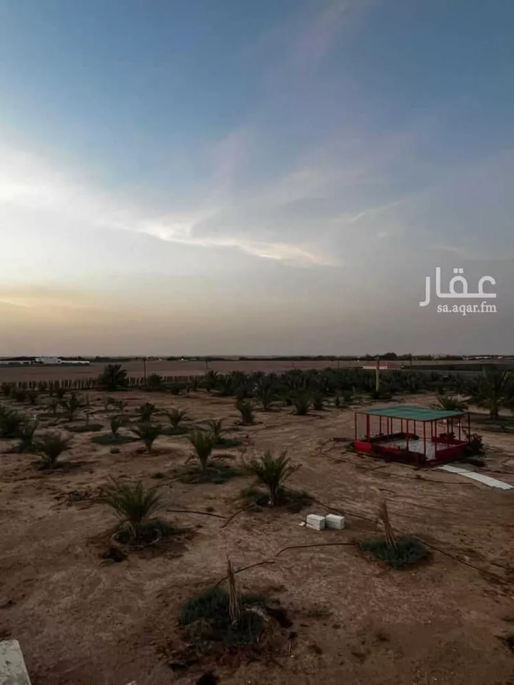 مزرعة للبيع في حي الجديده, مدينة المزاحمية - الجديده, منطقة الرياض