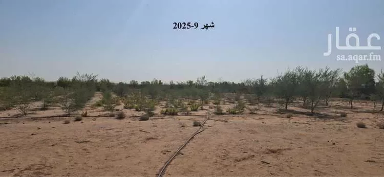 مزرعة للبيع في مدينة الجله, منطقة الرياض صورة 4
