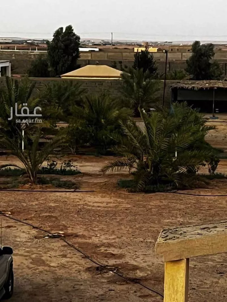 مزرعة للبيع في حي الجديده, مدينة المزاحمية - الجديده, منطقة الرياض صورة 2
