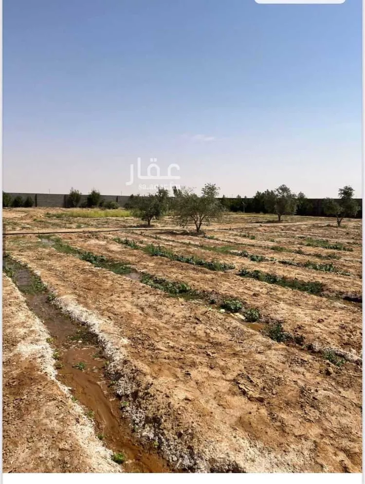 مزرعة للبيع في حي مخطط رقم 0941, مدينة الجلة, منطقة الرياض صورة 4