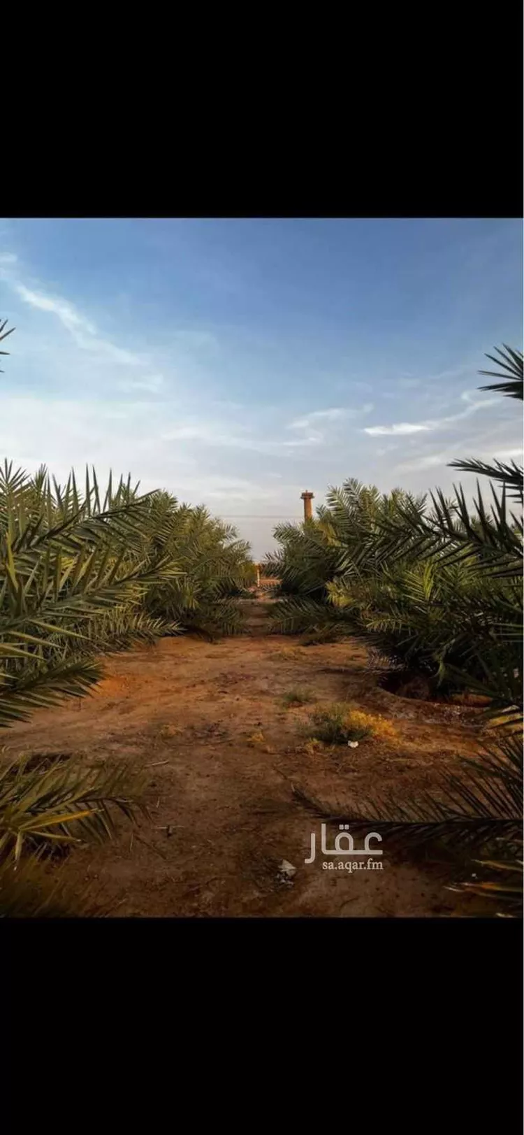 مزرعة للبيع في حي الجديده, مدينة المزاحمية - الجديده, منطقة الرياض صورة 5