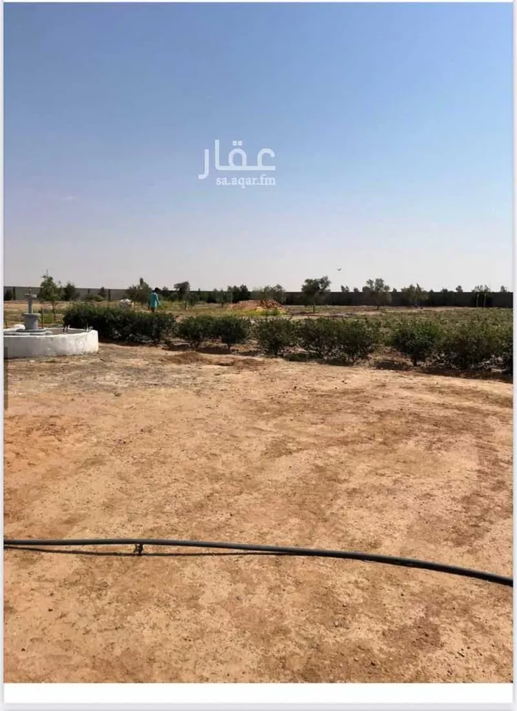 مزرعة للبيع في حي مخطط رقم 0941, مدينة الجلة, منطقة الرياض