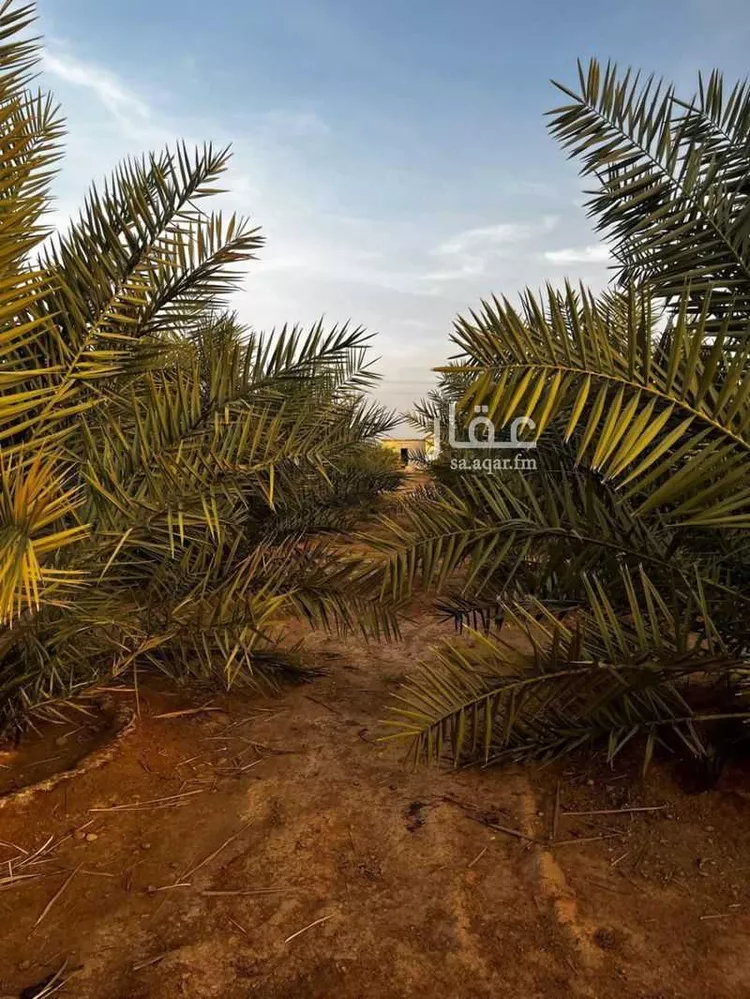 مزرعة للبيع في حي الجديده, مدينة المزاحمية - الجديده, منطقة الرياض