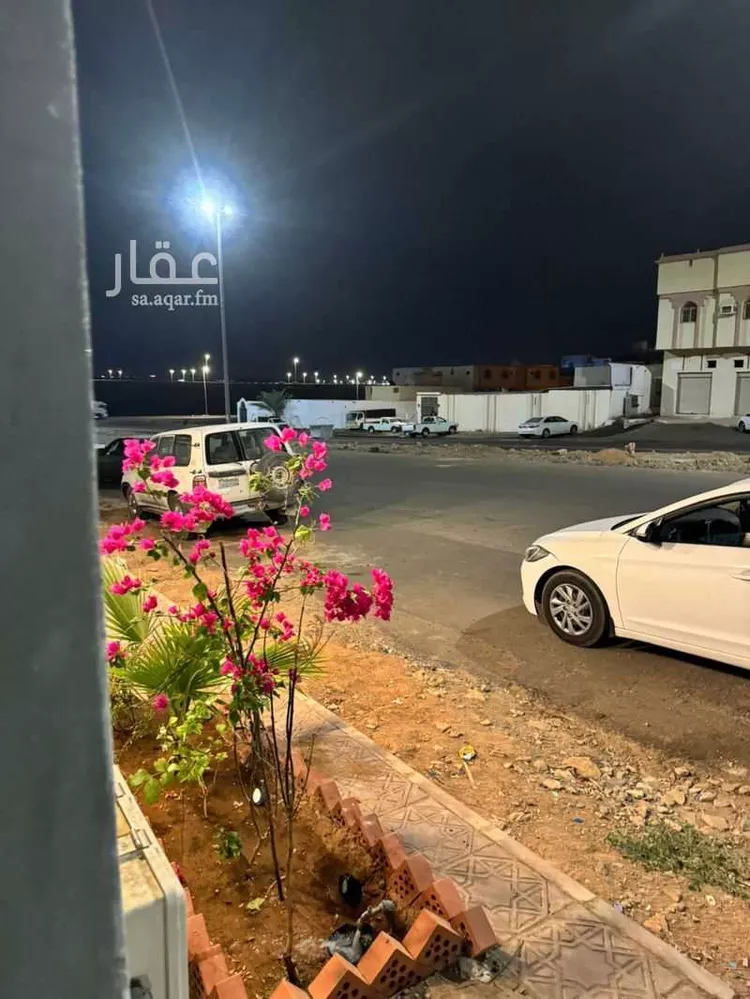 دور للإيجار في حي ، شارع ثابت ابن ثعلبة ، حي المطار ، المدينة المنورة ، منطقة المدينة المنورة صورة 2