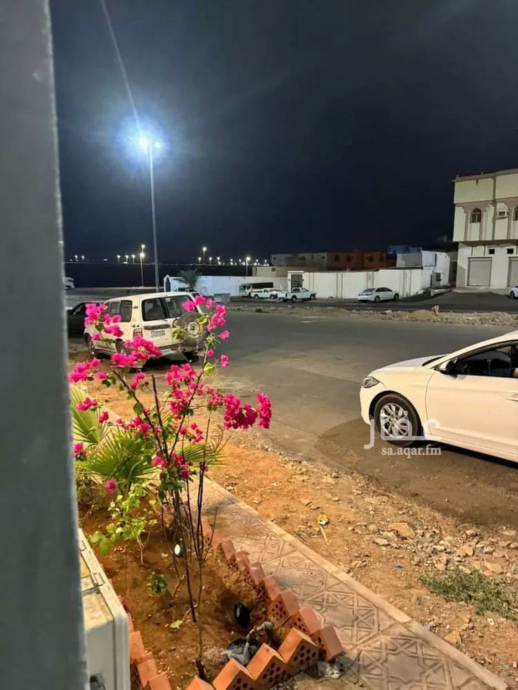 دور للإيجار في حي ، شارع ثابت ابن ثعلبة ، حي المطار ، المدينة المنورة ، منطقة المدينة المنورة صورة 2