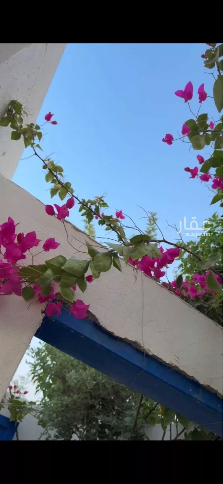 استراحة للإيجار في شارع 3775964, حي العفجه, مدينة الخرج, منطقة الرياض صورة 2