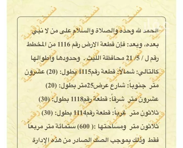 أرض للبيع في شارع امامة بنت بشر ابن وقش, الليث