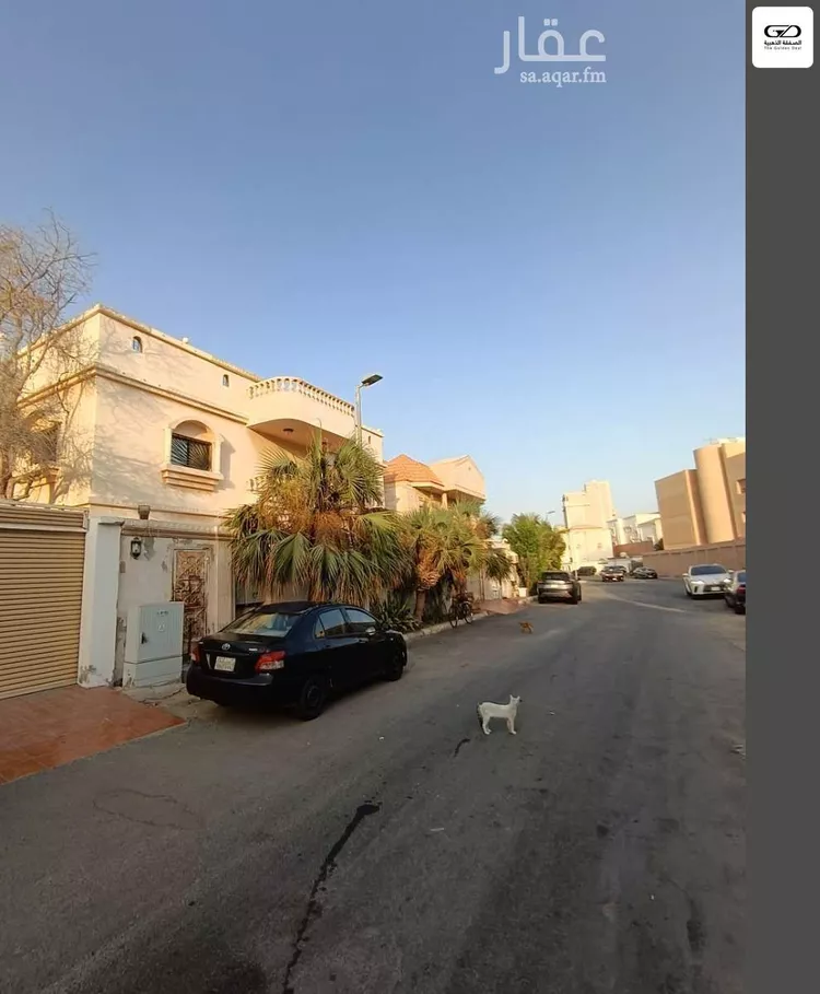 فيلا للإيجار في شارع ابن خطيب جبرين, حي المرجان, مدينة جدة, منطقة مكة المكرمة صورة 3