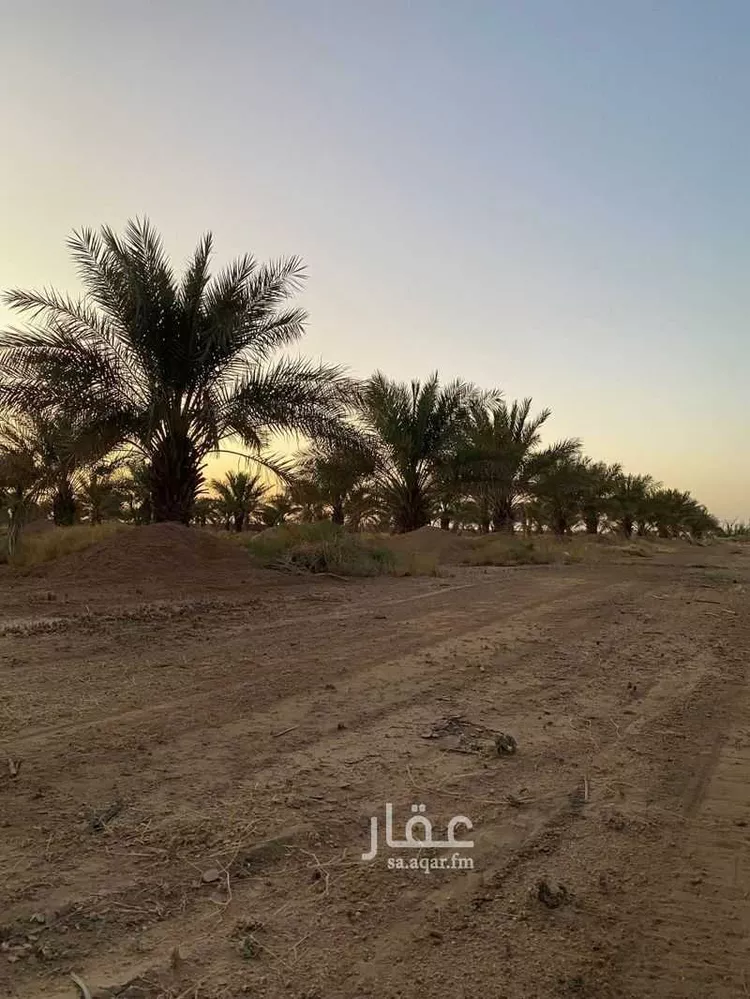 مزرعة للبيع في شارع قصرابن عقيل 338 , حي مزارع قصر ابن عقيل, مدينة مزارع قصر ابن عقيل, منطقة القصيم صورة 2
