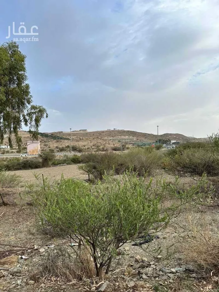 أرض للبيع في شارع سليم بن قيس, حي الشروق, مدينة الباحة, منطقة الباحة صورة 4