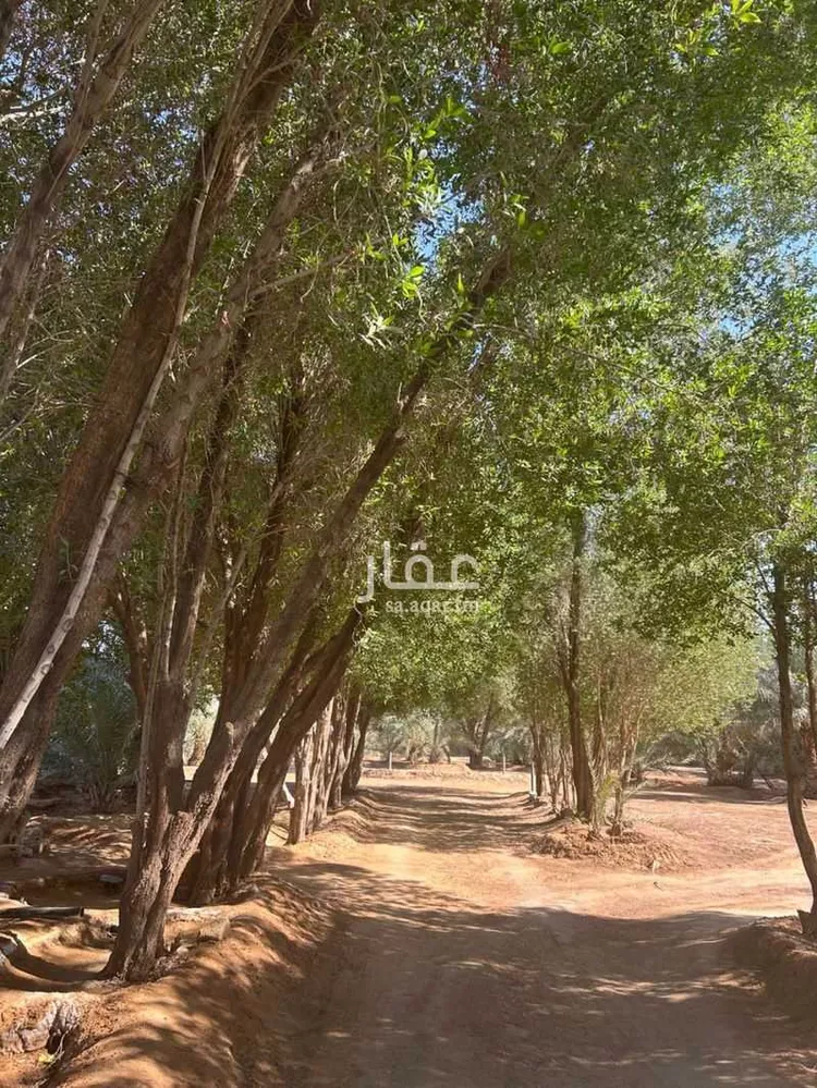 Rest House for Sale in Al Muzahimiyah Shukhaib 8
