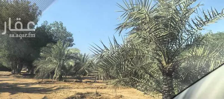 استراحة للبيع في شارع ضرما 1261, مدينة ضرما, منطقة الرياض صورة 2