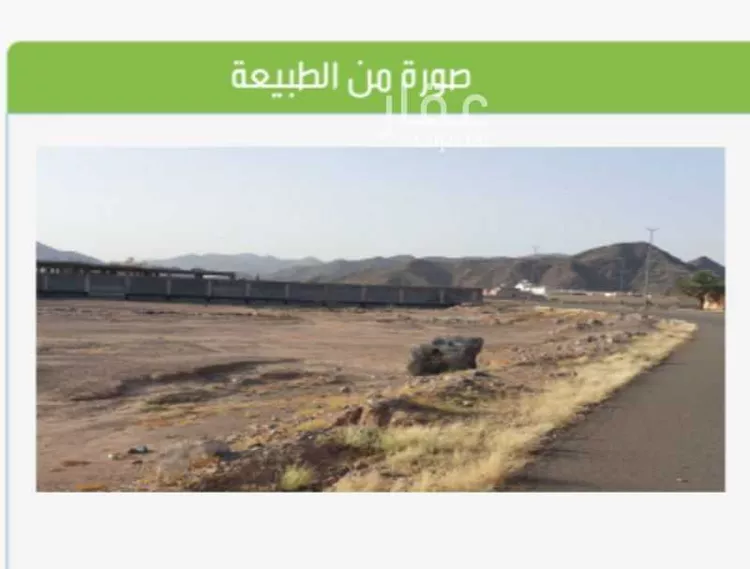 أرض للبيع في شارع كعب ابن عمير ، حي الغابة ، المدينة المنورة ، منطقة المدينة المنورة صورة 4