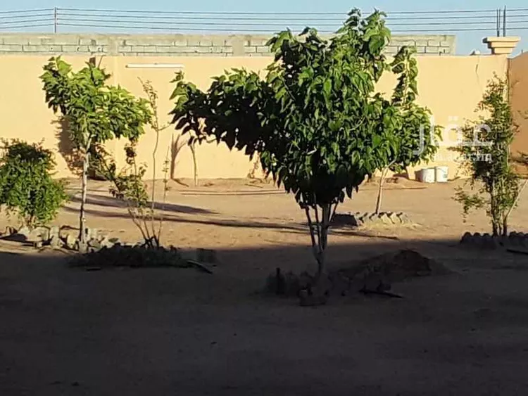 استراحة للبيع في شارع سليمان بن سعيد ، حي ج12 ، الطائف ، الطائف صورة 4