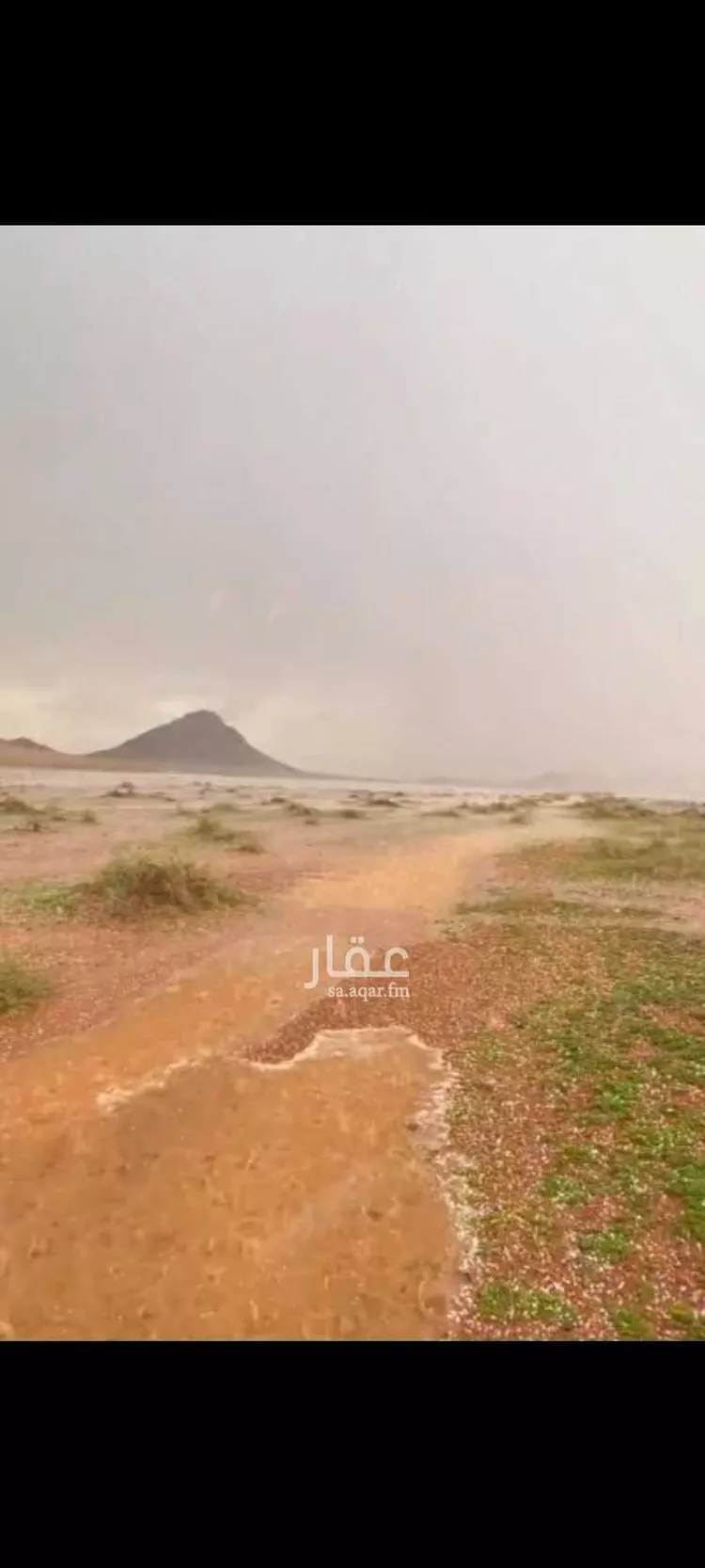 Apartment for Rent in Riyadh Umm Al Hamam Al Sharqi
