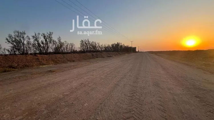 أرض للإيجار في حي الحمراء, مدينة الشنان, منطقة حائل صورة 3