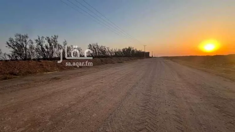 مزرعة للبيع في شارع حي الودي قطعة ١٩٧, حي الصالحية, مدينة الشنان, منطقة حائل صورة 3