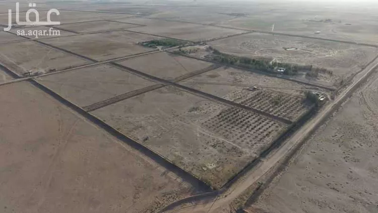 مزرعة للبيع في شارع حي الودي قطعة ١٩٧, حي الصالحية, مدينة الشنان, منطقة حائل صورة 4