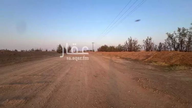 مزرعة للبيع في شارع حي الودي قطعة ١٩٧, حي الصالحية, مدينة الشنان, منطقة حائل صورة 5