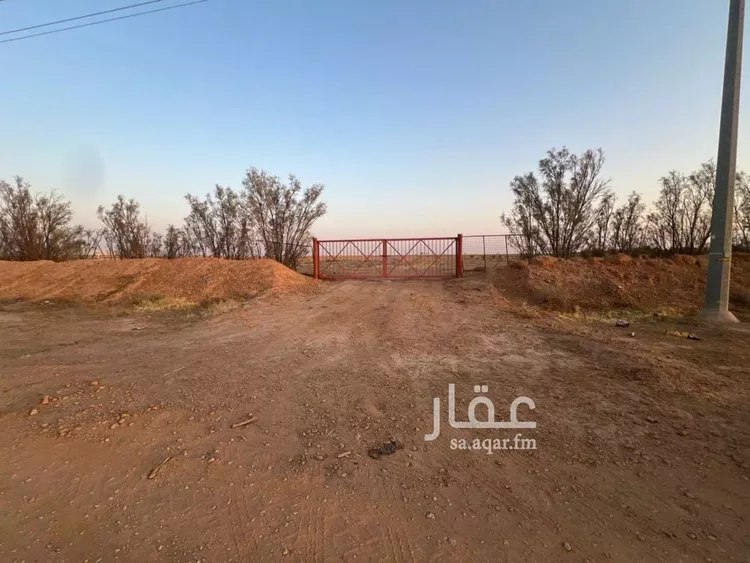 أرض للإيجار في حي الحمراء, مدينة الشنان, منطقة حائل صورة 2