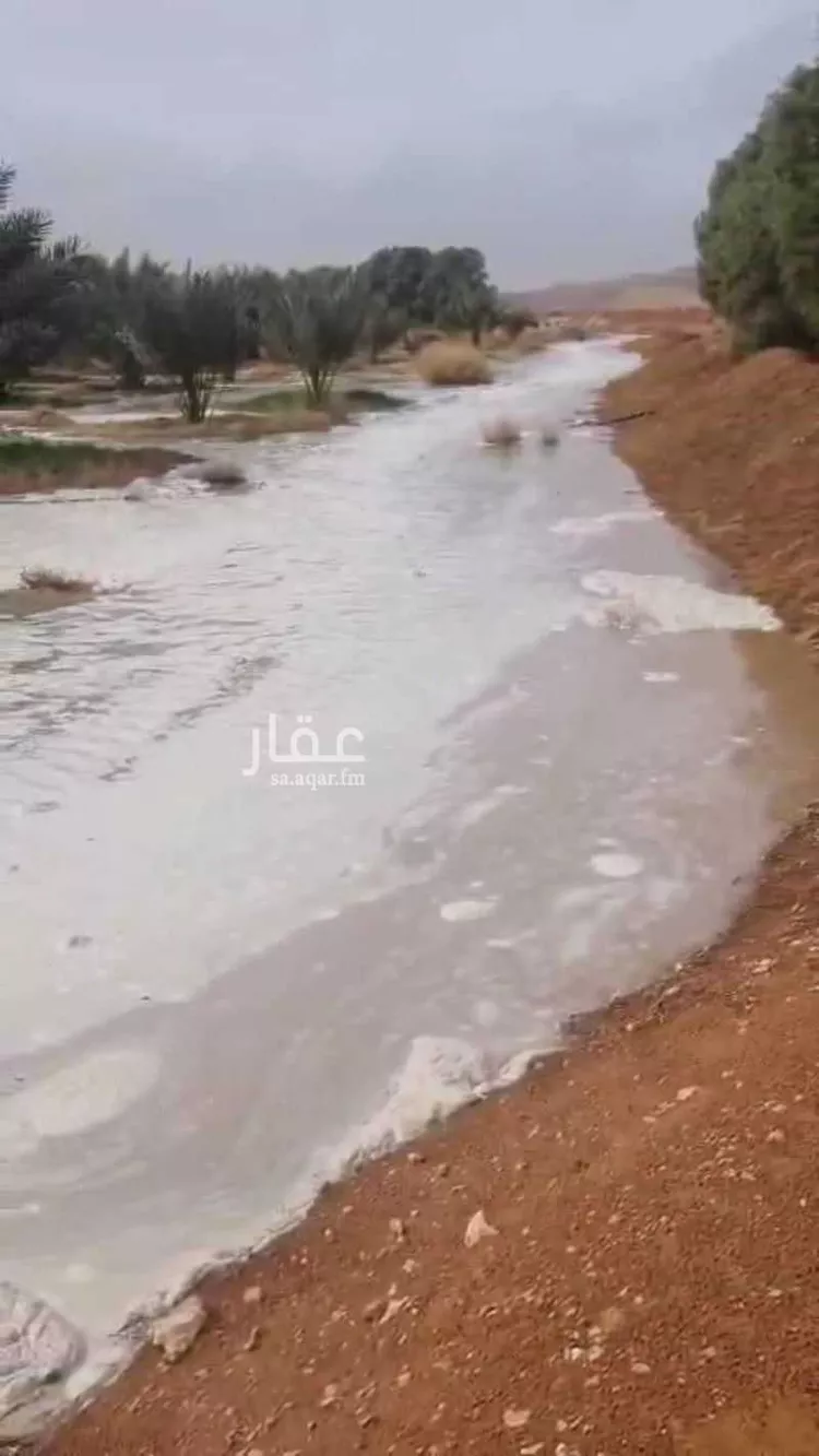 مزرعة للبيع في حي النخيل, مدينة ثادق, منطقة الرياض صورة 3