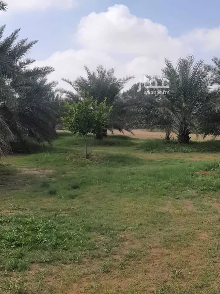 مزرعة للبيع في حي النخيل, مدينة ثادق, منطقة الرياض 9