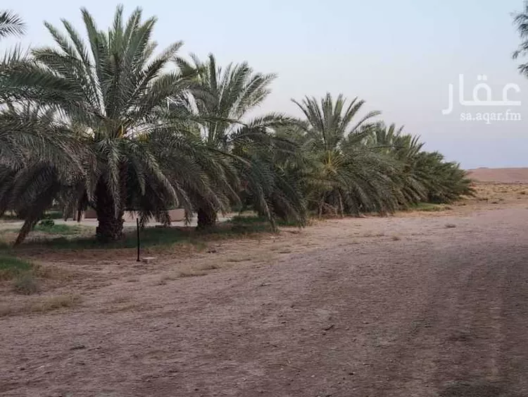 مزرعة للبيع في حي النخيل, مدينة ثادق, منطقة الرياض 19