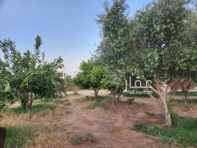 مزرعة للبيع في حي النخيل, مدينة ثادق, منطقة الرياض 6