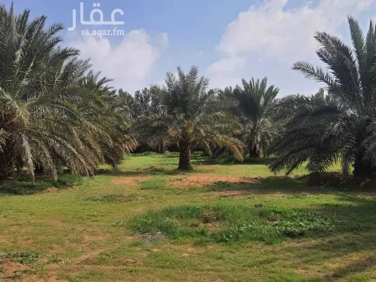 مزرعة للبيع في حي النخيل, مدينة ثادق, منطقة الرياض 16