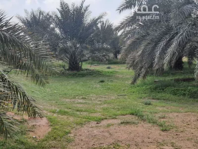 مزرعة للبيع في حي النخيل, مدينة ثادق, منطقة الرياض 23
