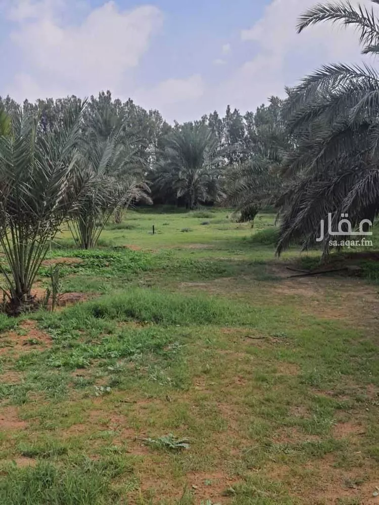 مزرعة للبيع في حي النخيل, مدينة ثادق, منطقة الرياض صورة 4